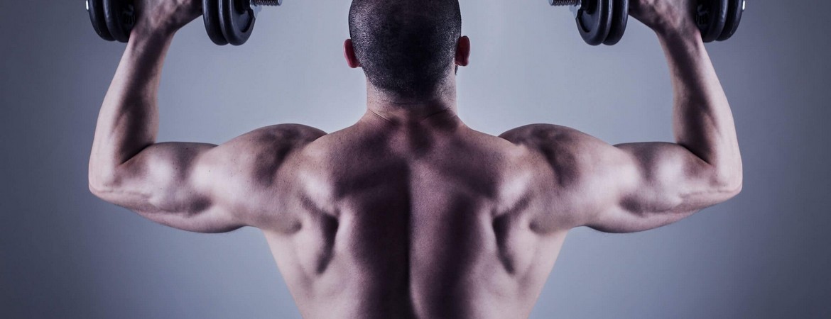 Everything You Wanted to Know About muscle building workouts and Were Afraid To Ask